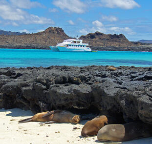 Ecuador und Galápagos-Kreuzfahrt ─ ein Land voller Wunder