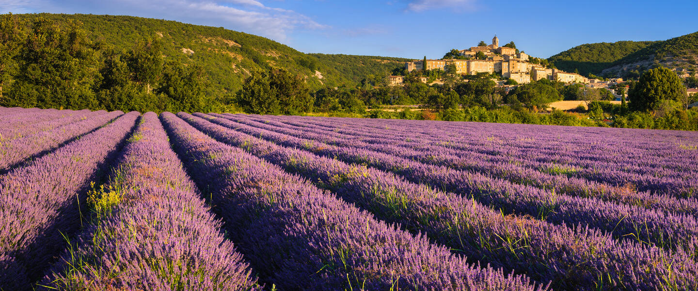 Provence - zwischen Tradition und Moderne Provence - zwischen Tradition und Moderne