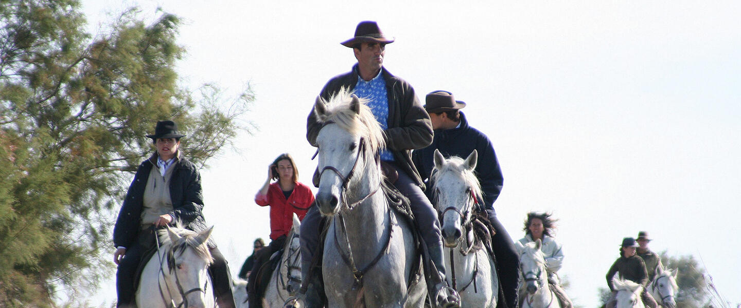 Provence - zwischen Tradition und Moderne Provence - zwischen Tradition und Moderne