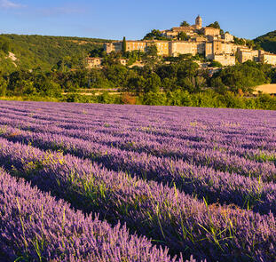 Provence - zwischen Tradition und Moderne Provence - zwischen Tradition und Moderne
