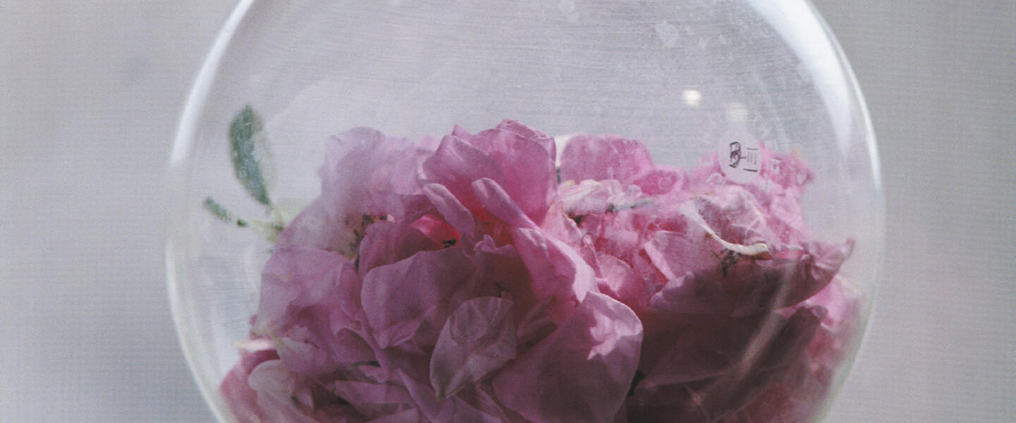 Côte d'Azur - zwischen Monaco und St-Tropez