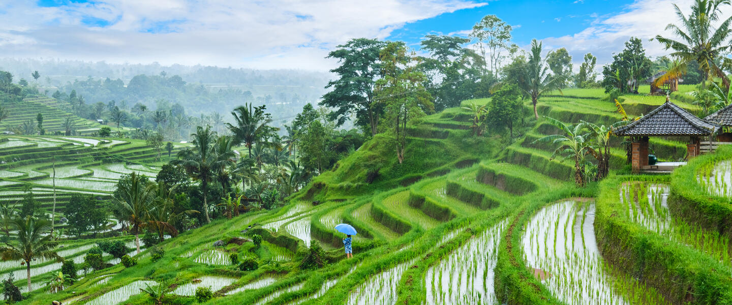 Bali - Naturwunder, Tempel und Meer