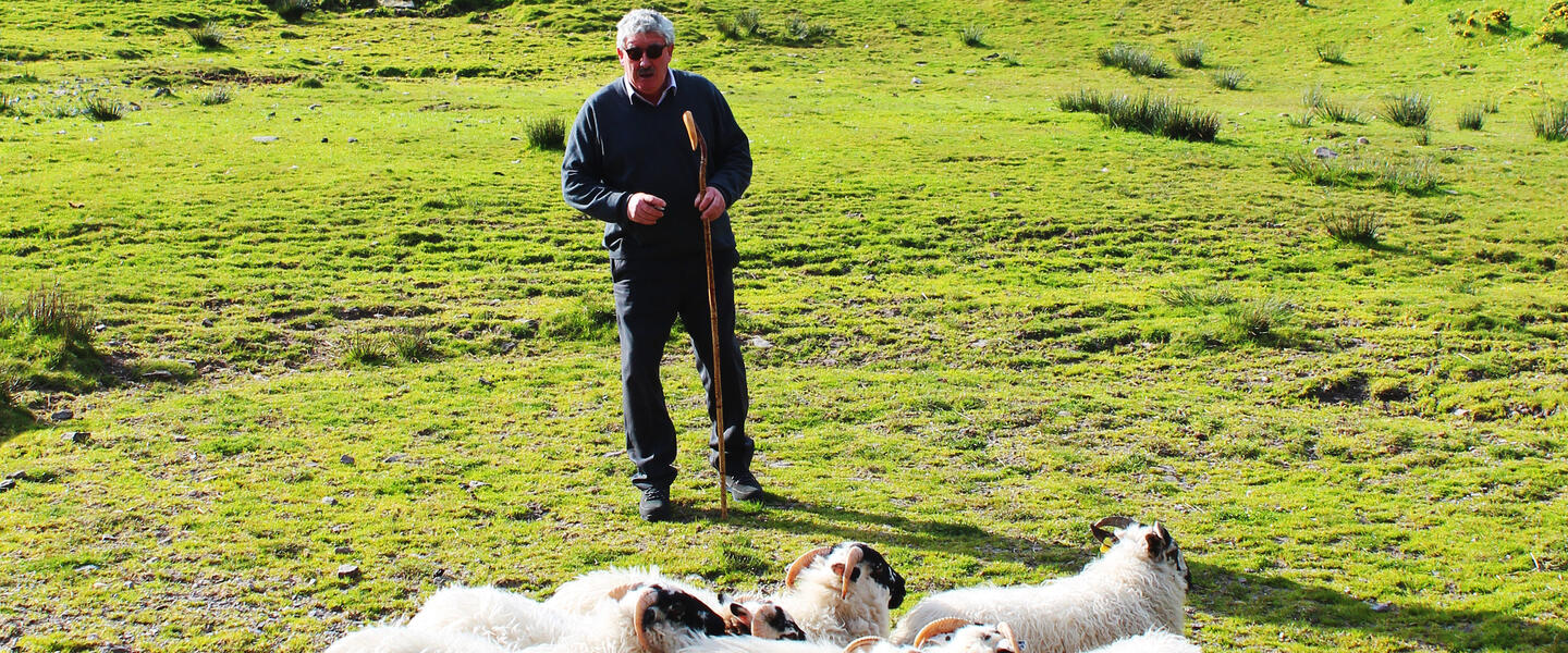 Irland - die ausführliche Reise auf der grünen Insel