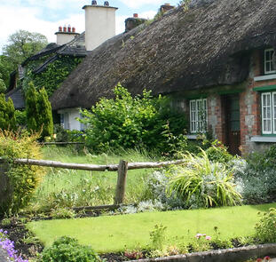 Irland geruhsam entdecken