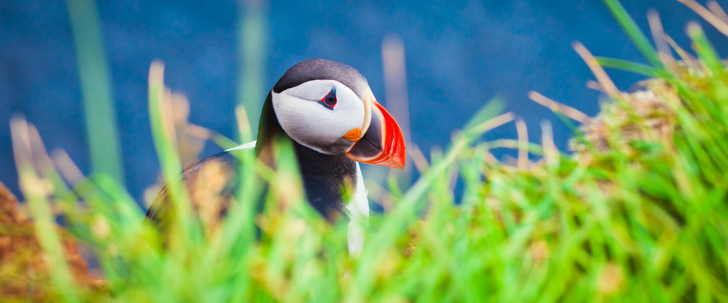 Islands Höhepunkte Islands Höhepunkte