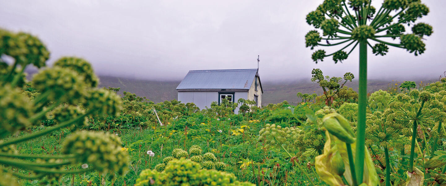 Islands Naturwunder geruhsam erleben Islands Naturwunder geruhsam erleben