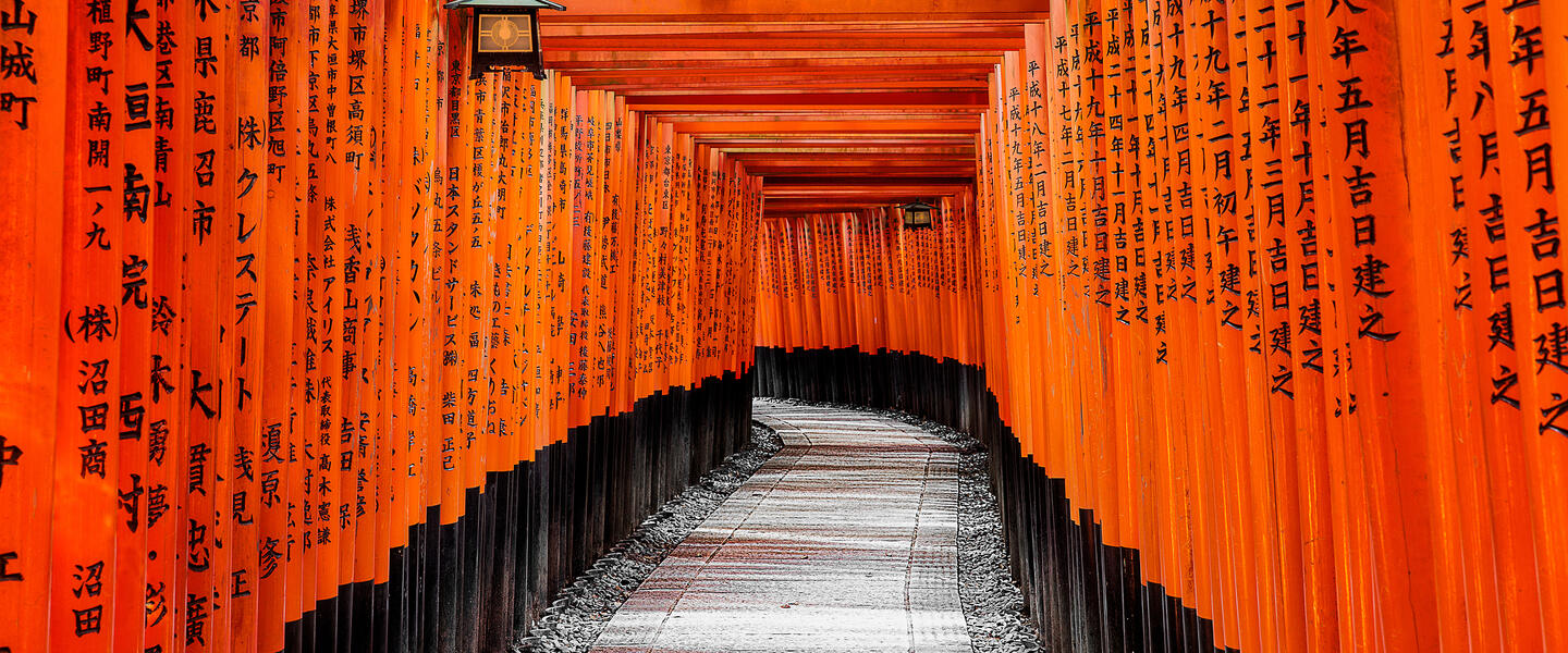 Japan - Sakura, Soba und Sake Japan - Sakura, Soba und Sake