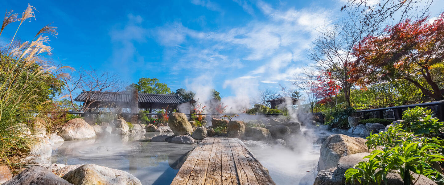 Japans grünes Gold - eine Teereise für die Sinne