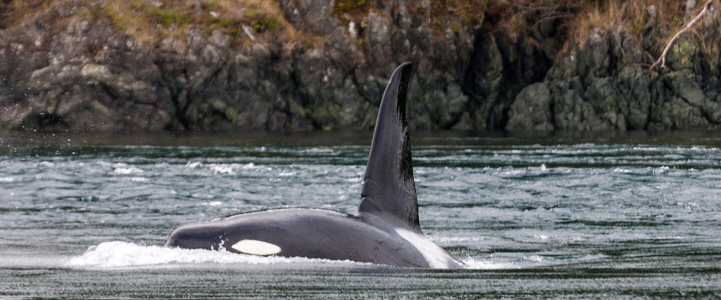 Ostkanada - Farbenspiele im Land des Ahorns (ehem. Kanadische Farbenspiele)