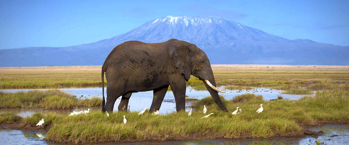 Kenia und Tansania - Savannenträume im Tierparadies Kenia und Tansania - Savannenträume im Tierparadies