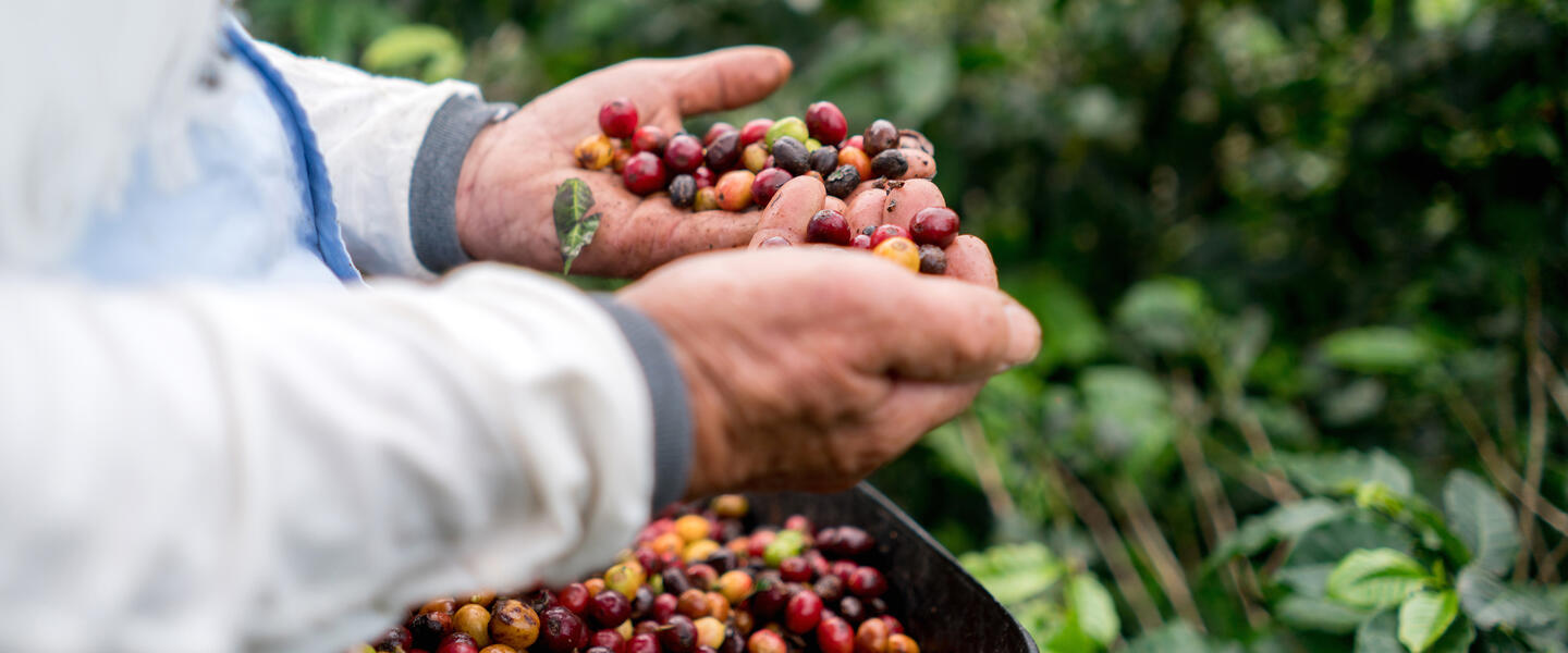 Die große Kolumbien Reise