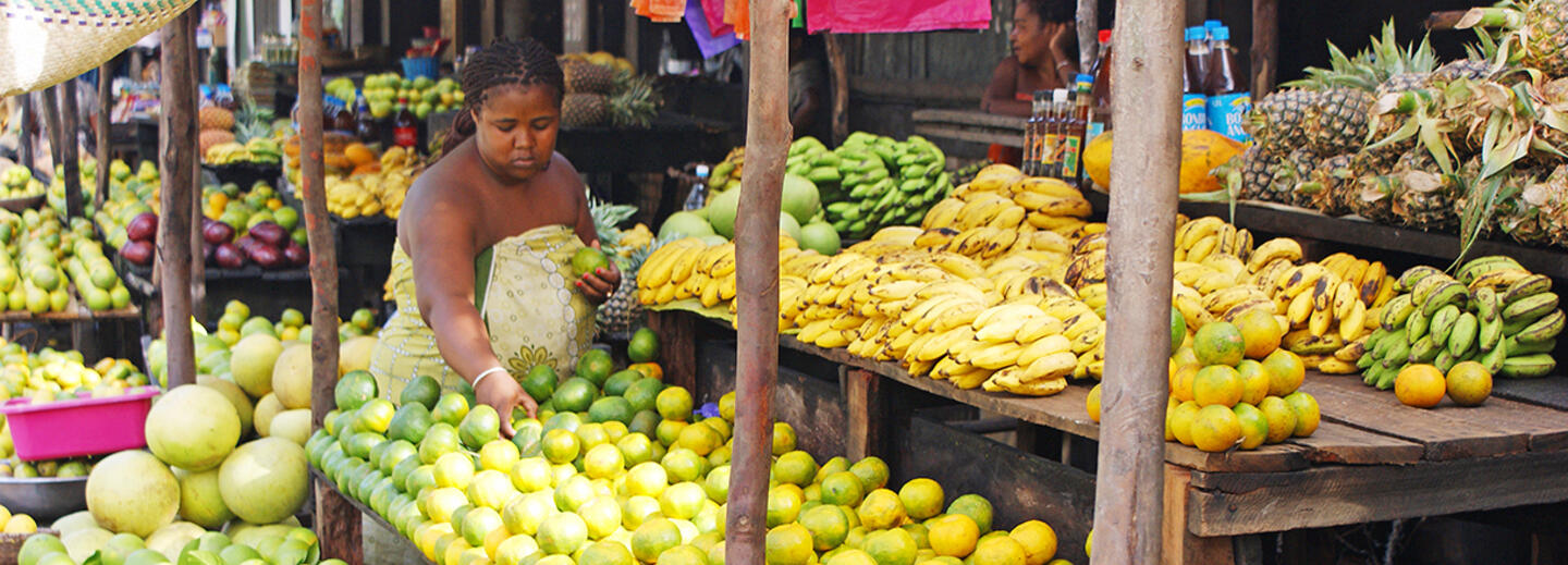 Madagaskar - Lemuren und Meer