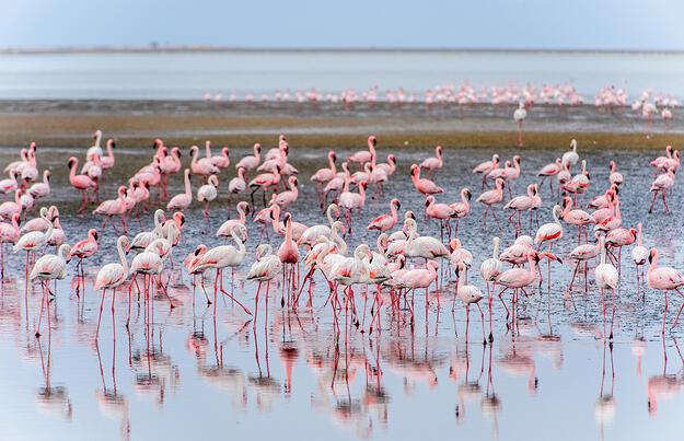 Namibia - Wildnis und Weite mit Flair