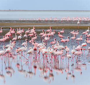 Namibia - Wildnis und Weite mit Flair