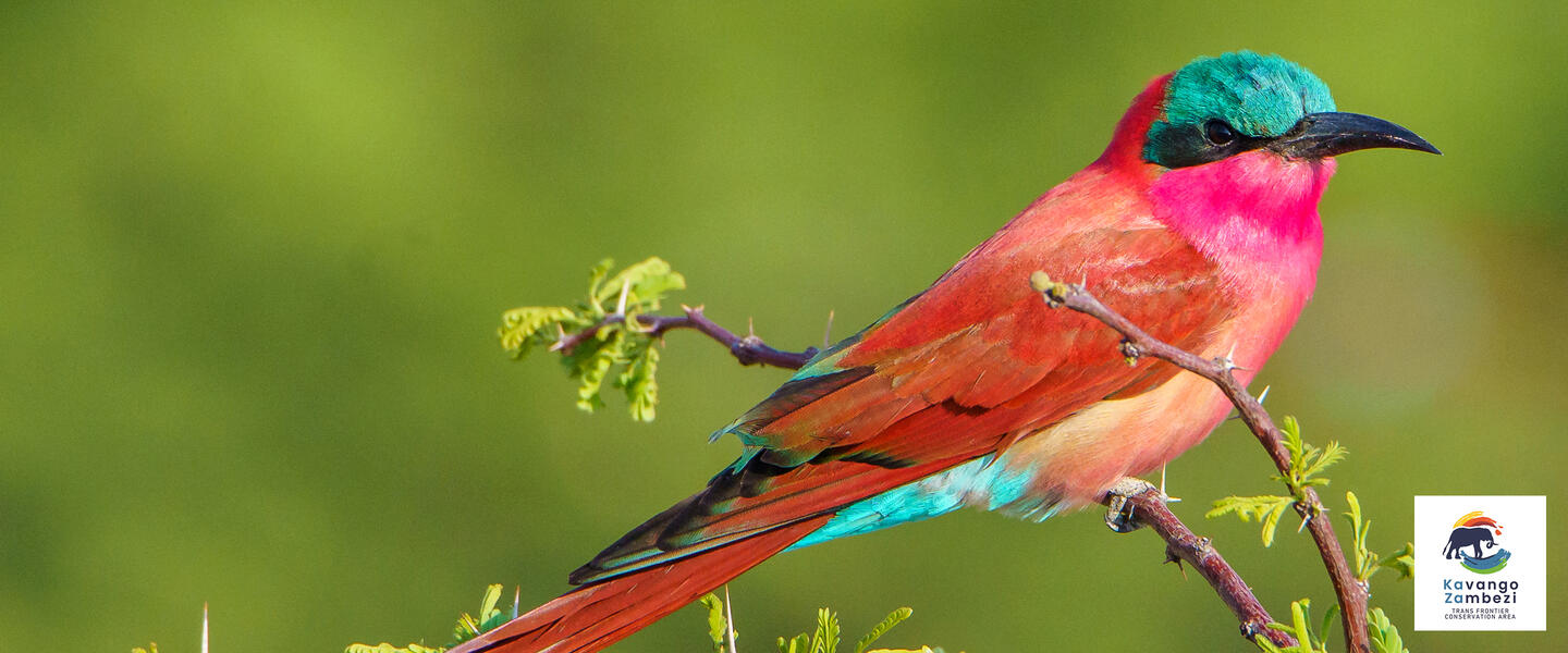 Namibia - von Windhoek zu den Victoria-Fällen