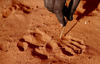 Naturschätze im südlichen Afrika