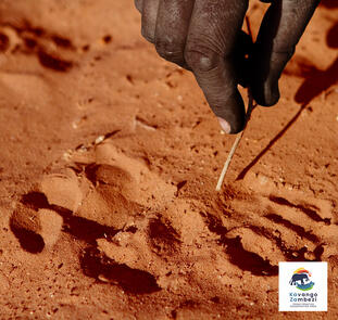 Naturschätze im südlichen Afrika