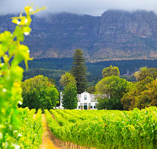 Südafrika Classics Südafrika Classics