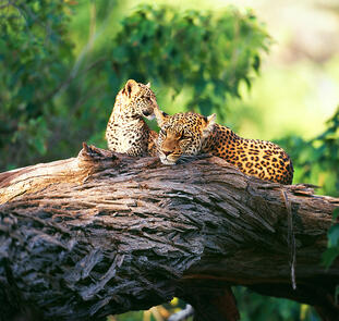 Südafrika - Naturzauber und Traditionen