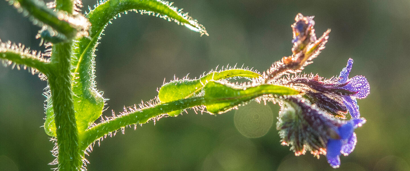 Algarve - wandern an der facettenreichen Südküste