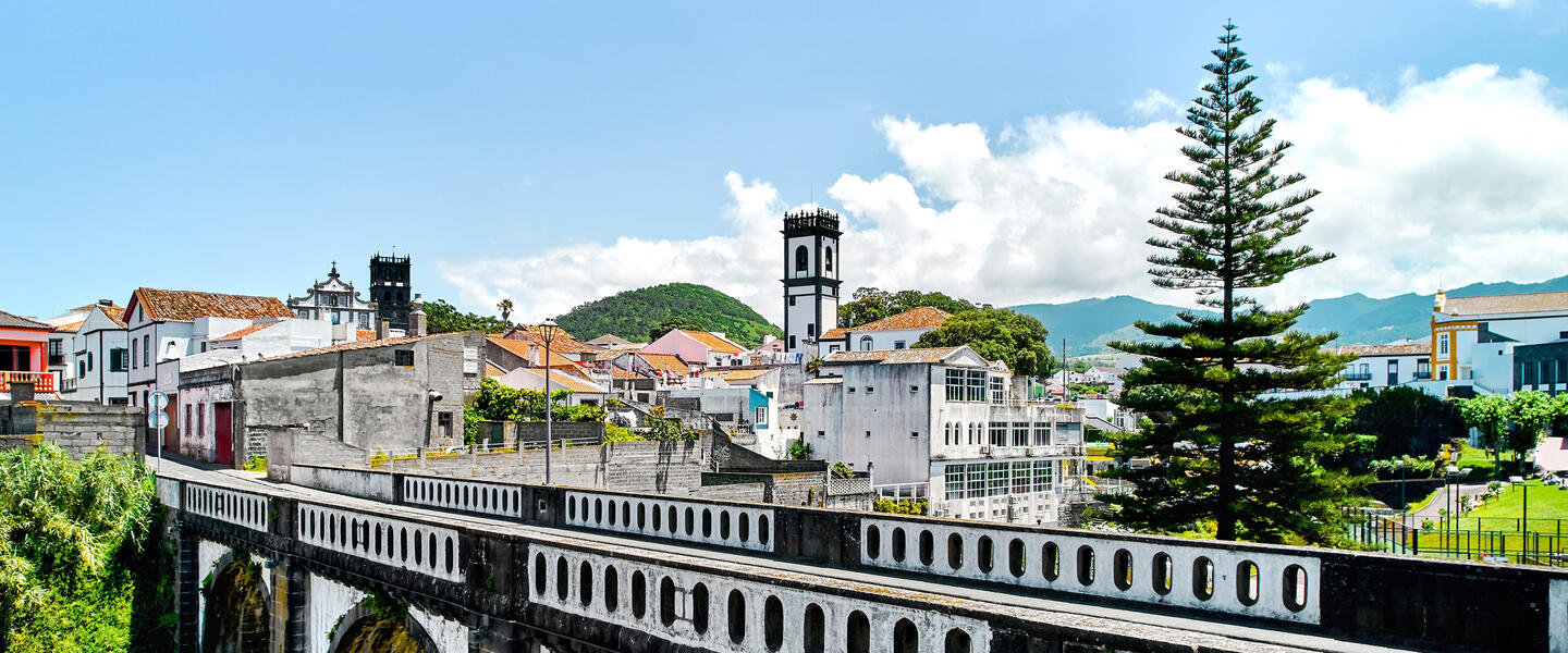 Teezauber auf den Azoren: Naturwunder und Teegenuss