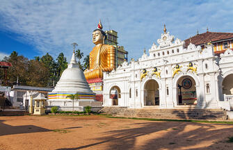 Natürlich Sri Lanka!