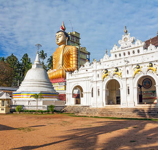 Natürlich Sri Lanka!