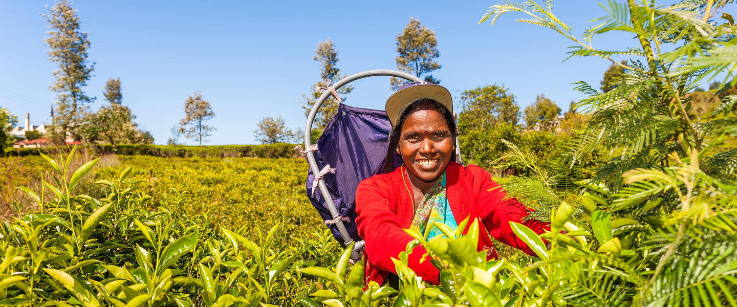 Sri Lanka - heilige Insel des Buddhismus
