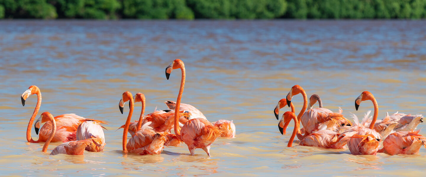 Mexiko - buntes Yucatán der Maya