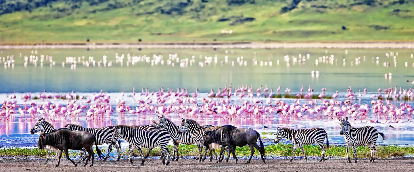 Tansania und Sansibar - von der Serengeti zum Indischen Ozean Tansania und Sansibar - von der Serengeti zum Indischen Ozean