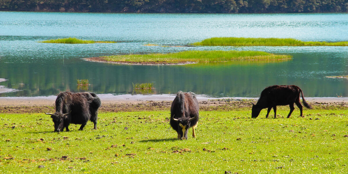 China - Yunnans Mosaik der Traditionen