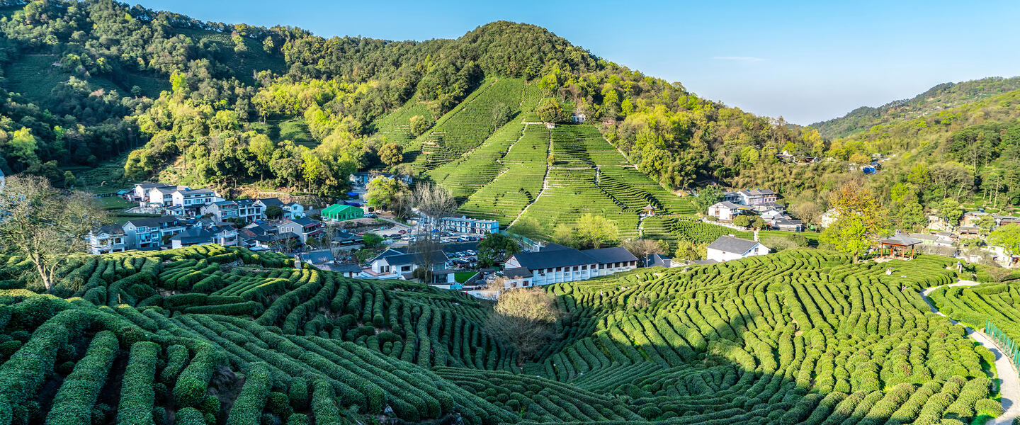 Kunstvolle Kontraste in China und Hongkong Kunstvolle Kontraste in China und Hongkong