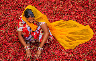 Indien - Wo Frauen die Farben des Lebens tragen