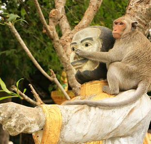 Asiens Herzschlag - überland von Bangkok nach Südvietnam