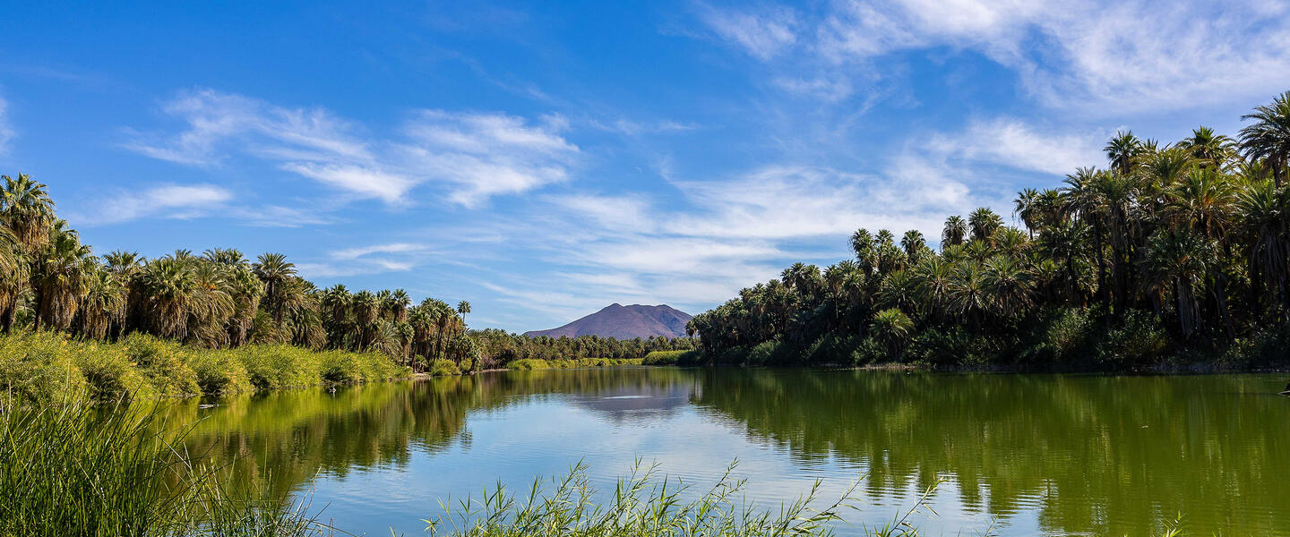 Baja California Sur - unbekanntes Naturparadies Baja California Sur - unbekanntes Naturparadies