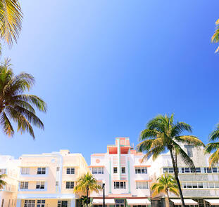 Florida ─ die Höhepunkte des Sonnenstaates Florida ─ die Höhepunkte des Sonnenstaates