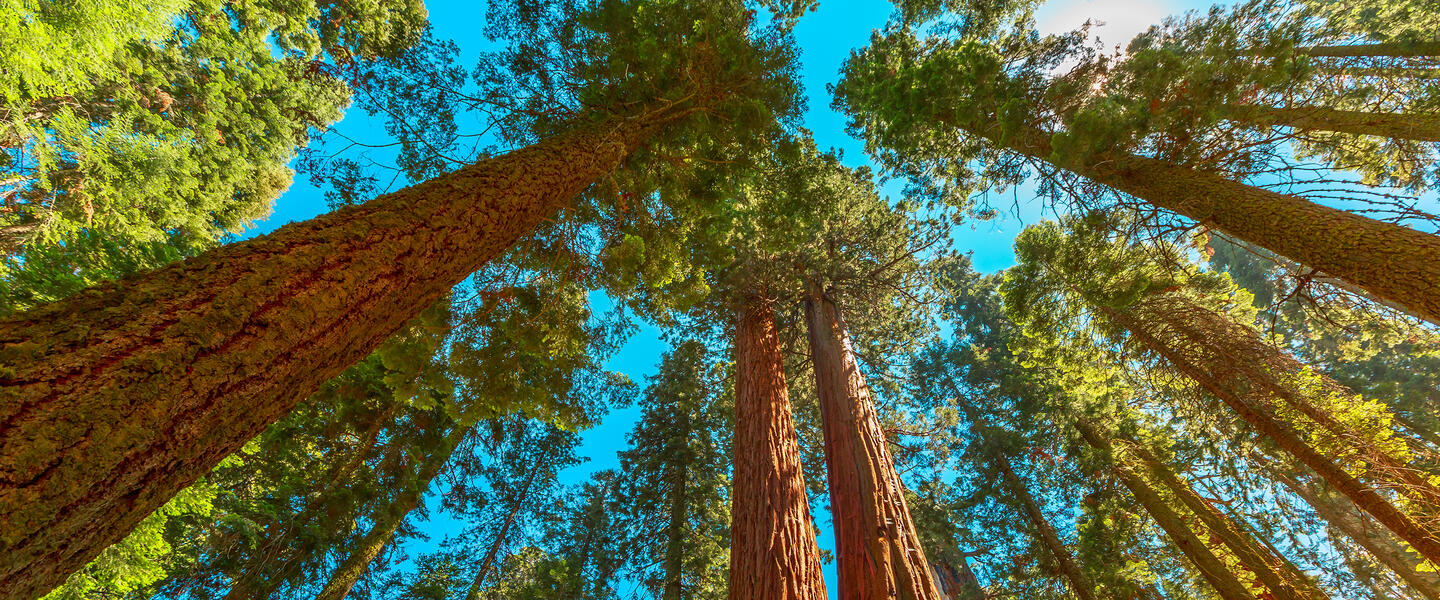 USA - Vom Golden State Kalifornien zur City of Lights Las Vegas