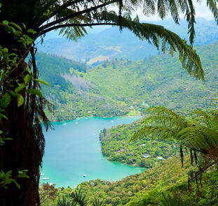 Neuseelandsafari - von Auckland nach Christchurch Neuseelandsafari - von Auckland nach Christchurch