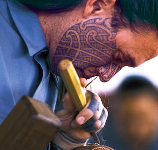 Neuseeland einmal anders erleben Neuseeland einmal anders erleben