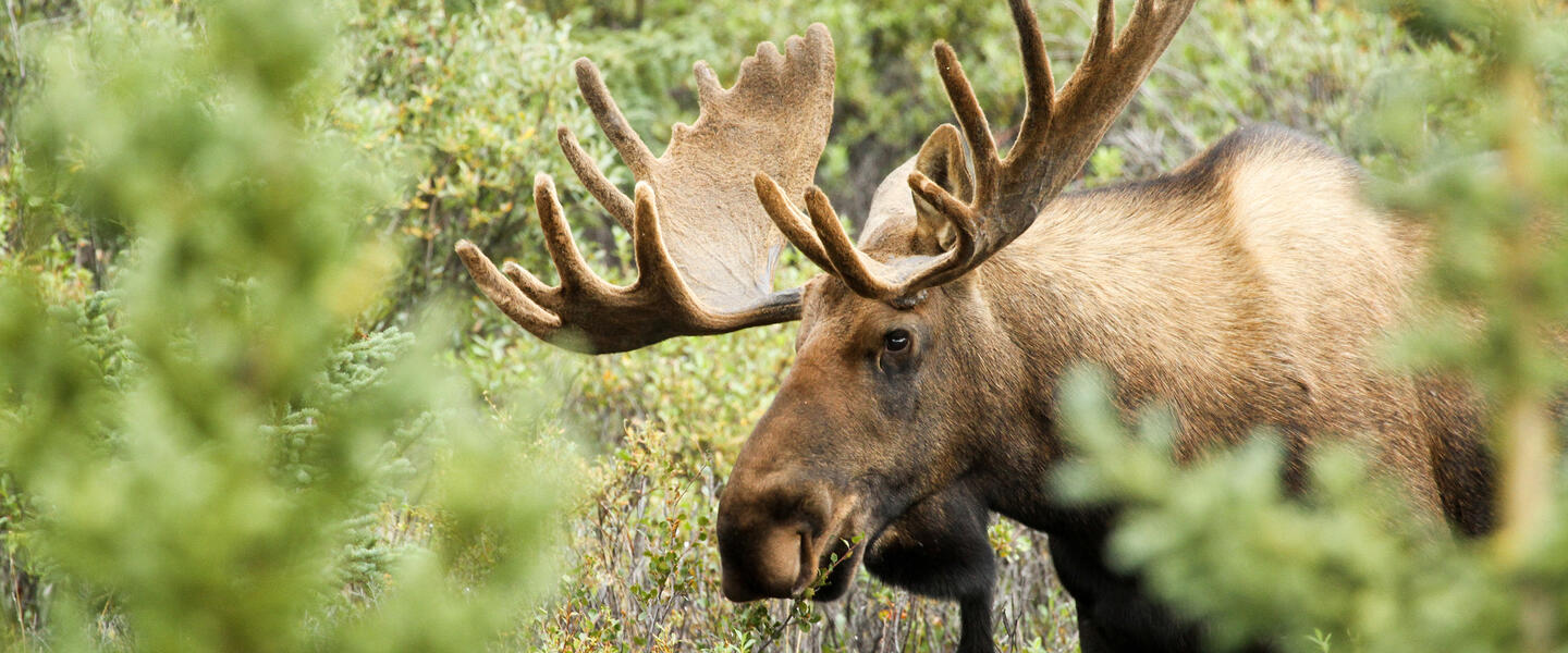 Traumhaftes Südschweden Traumhaftes Südschweden