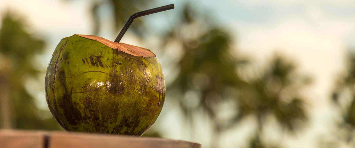 Baden an der Küste Bahias