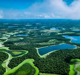 Pantanal Pantanal