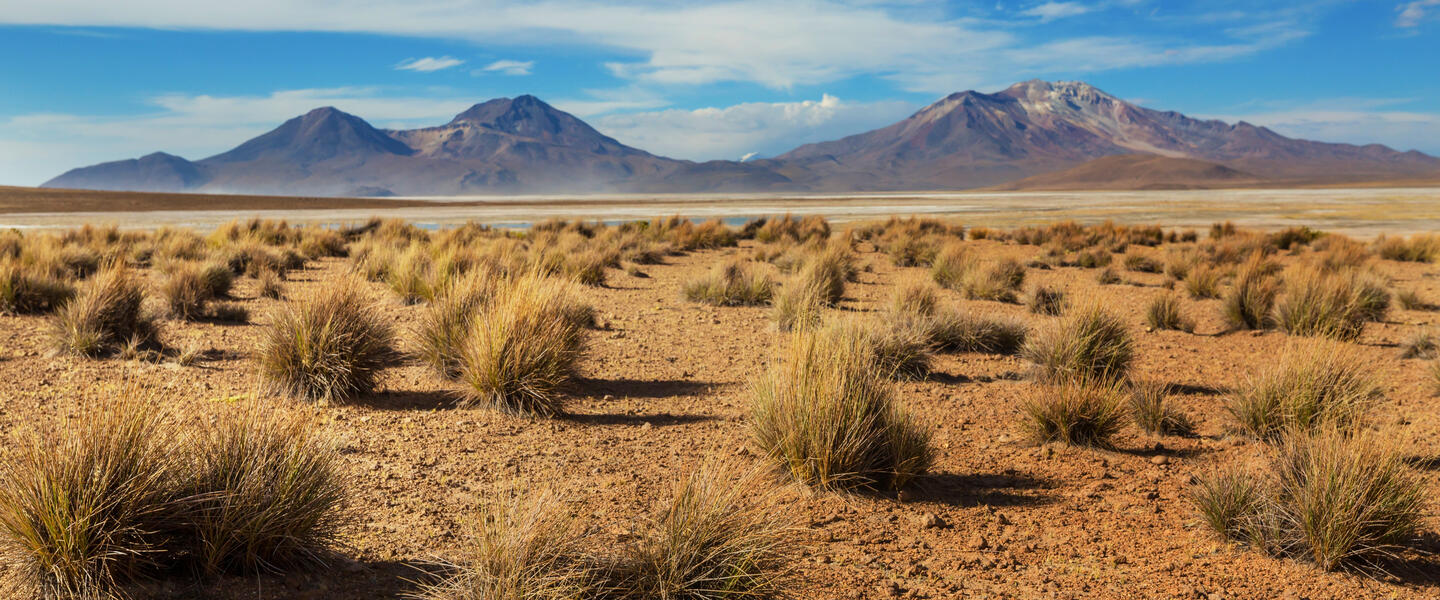 Wüstenzauber Atacama Wüstenzauber Atacama