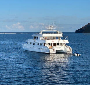 Galápagos mit dem Schiff entdecken Galápagos mit dem Schiff entdecken