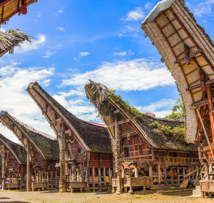 Faszinierendes Sulawesi