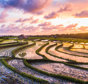 Ursprüngliches Flores mit Komodo-Nationalpark
