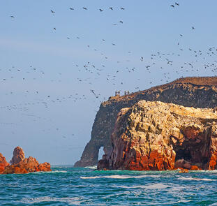 Paracas - Wüste und Meer Paracas - Wüste und Meer