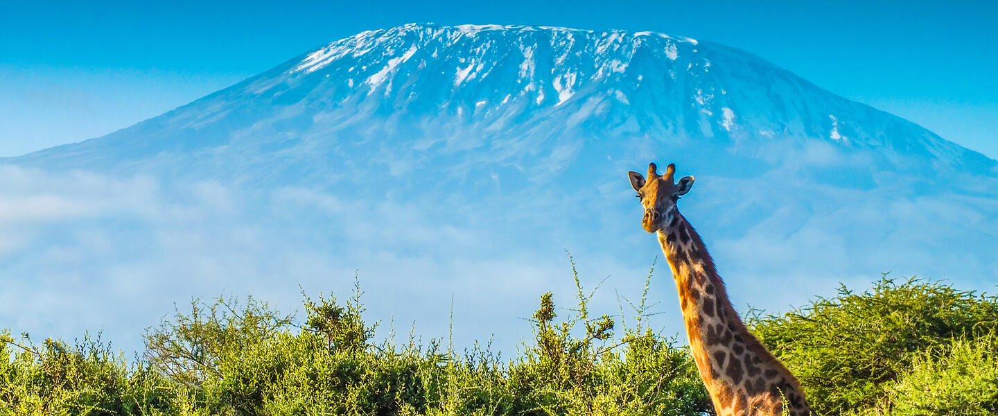 Tansania - Badeverlängerung im Karafuu Beach Resort auf Sansibar